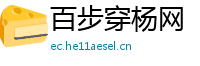百步穿杨网
